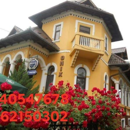 Pensiunea Onix ฟาการาช ภายนอก รูปภาพ
