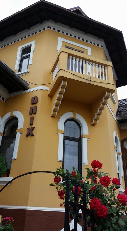 Pensiunea Onix ฟาการาช ภายนอก รูปภาพ